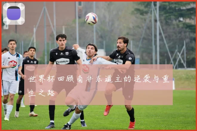 世界杯回顾南非东道主的逆袭与重生之路