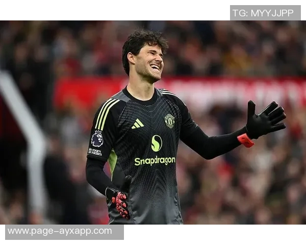 深度剖析拉门斯的门将之路：无可挑剔的表现与稳定性分析